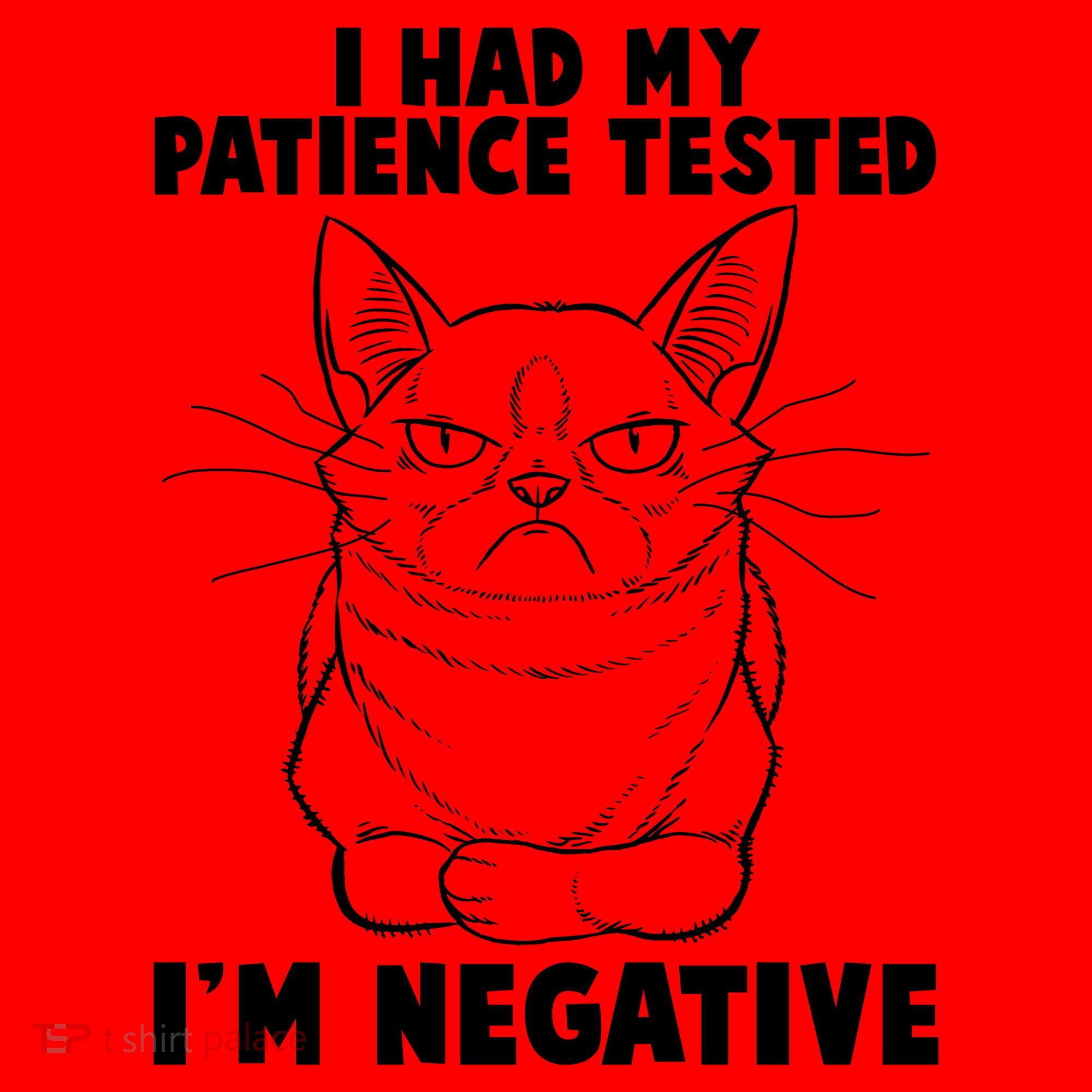 Funny Cat I Had My Patience Tested I'm Negative Santa Hat