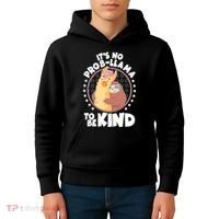 Funny Cute It's No ProbLlama To Be Kind Kids Hoodie thumb 4
