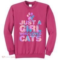 Funny Cute Just A Girl Who Loves Cats Sweatshirt thumb 0