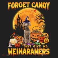 Forget Candy Just Give Me Weimaraners Pumpkin Halloween Gift Hat thumb 2