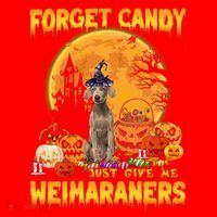 Forget Candy Just Give Me Weimaraners Pumpkin Halloween Gift Santa Hat thumb 1