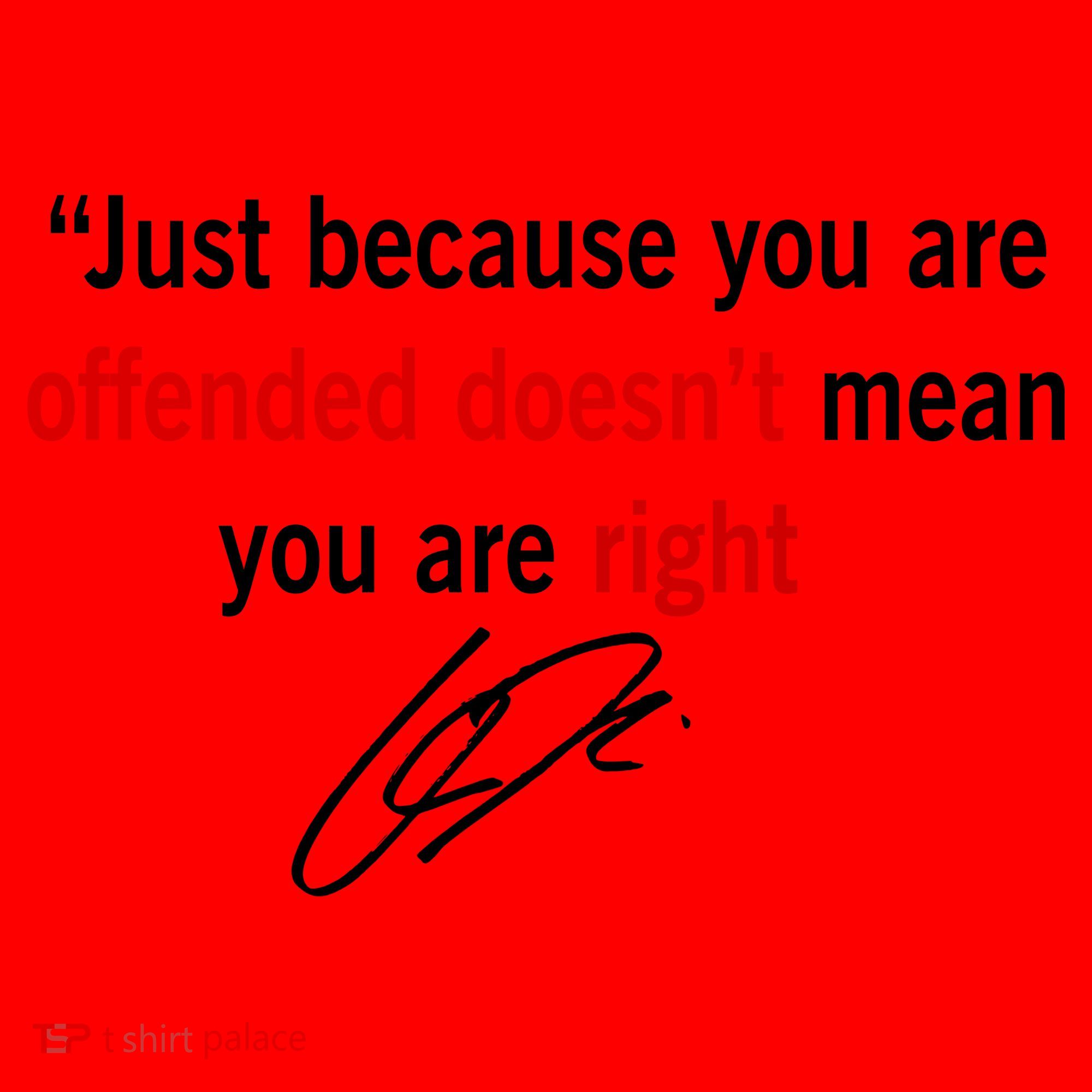 Freedom Charlie Kirk Quote Offended Does't Mean Your Right Santa Hat