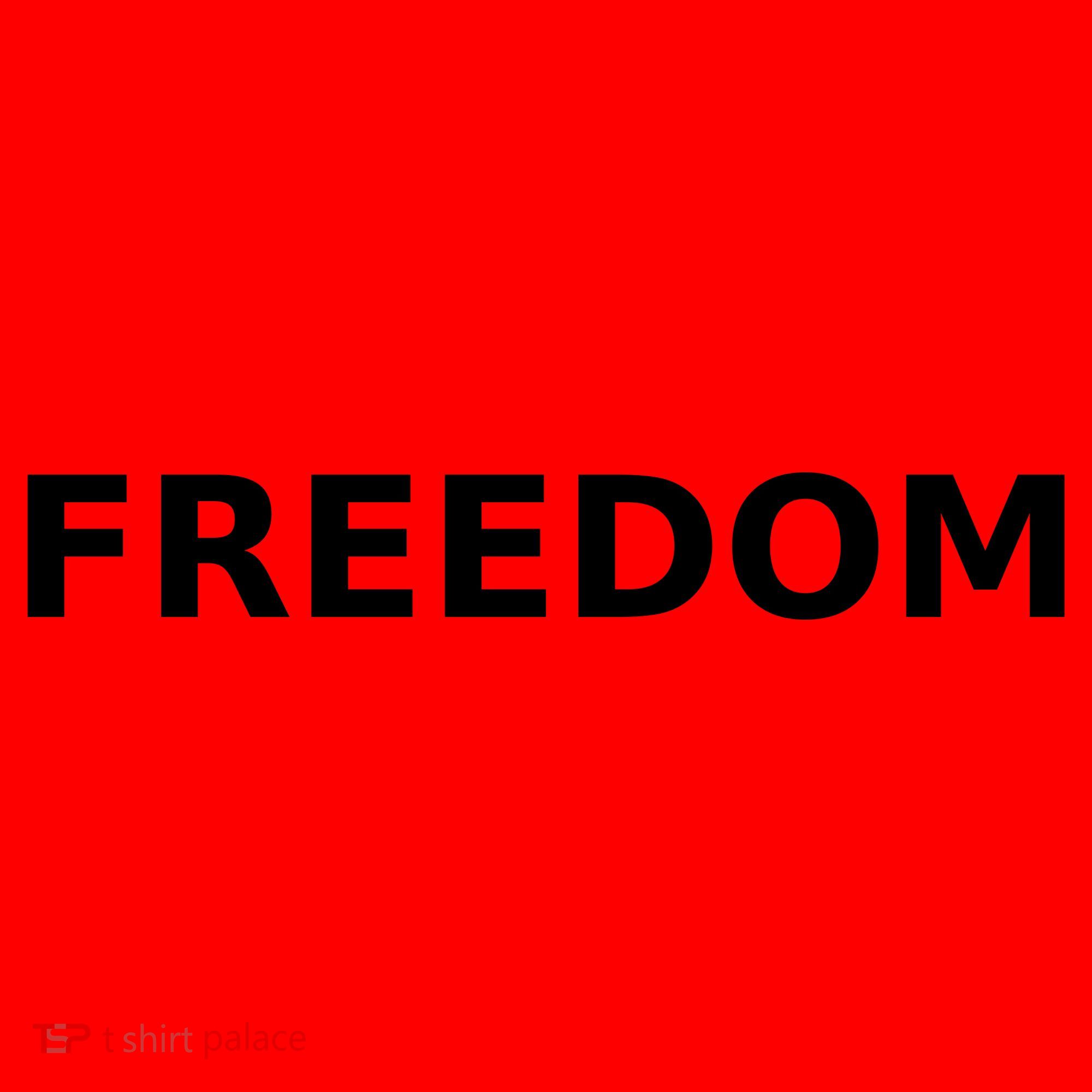 Freedom Charlie Kirk Santa Hat