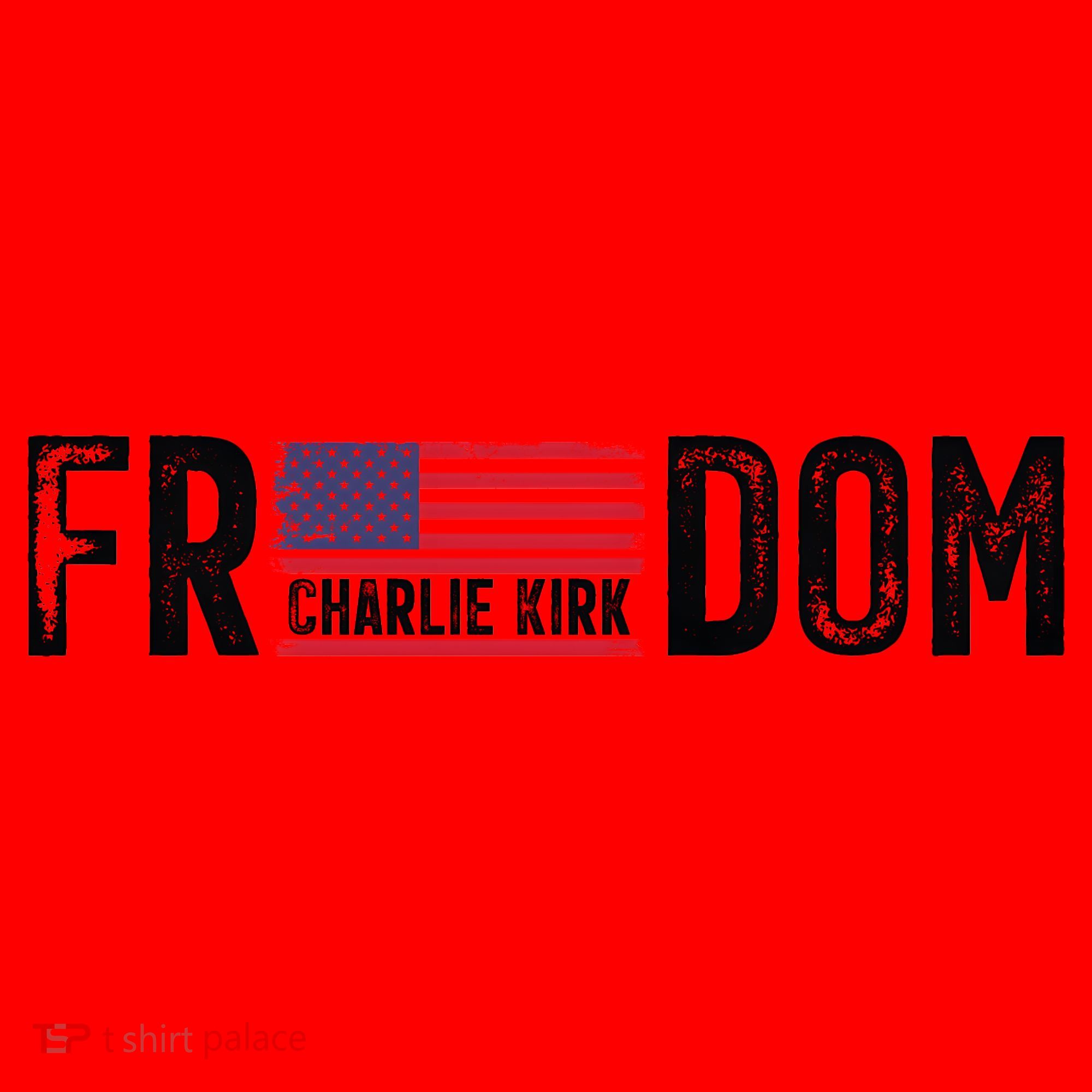 Freedom Charlie Kirk USA Flag Santa Hat