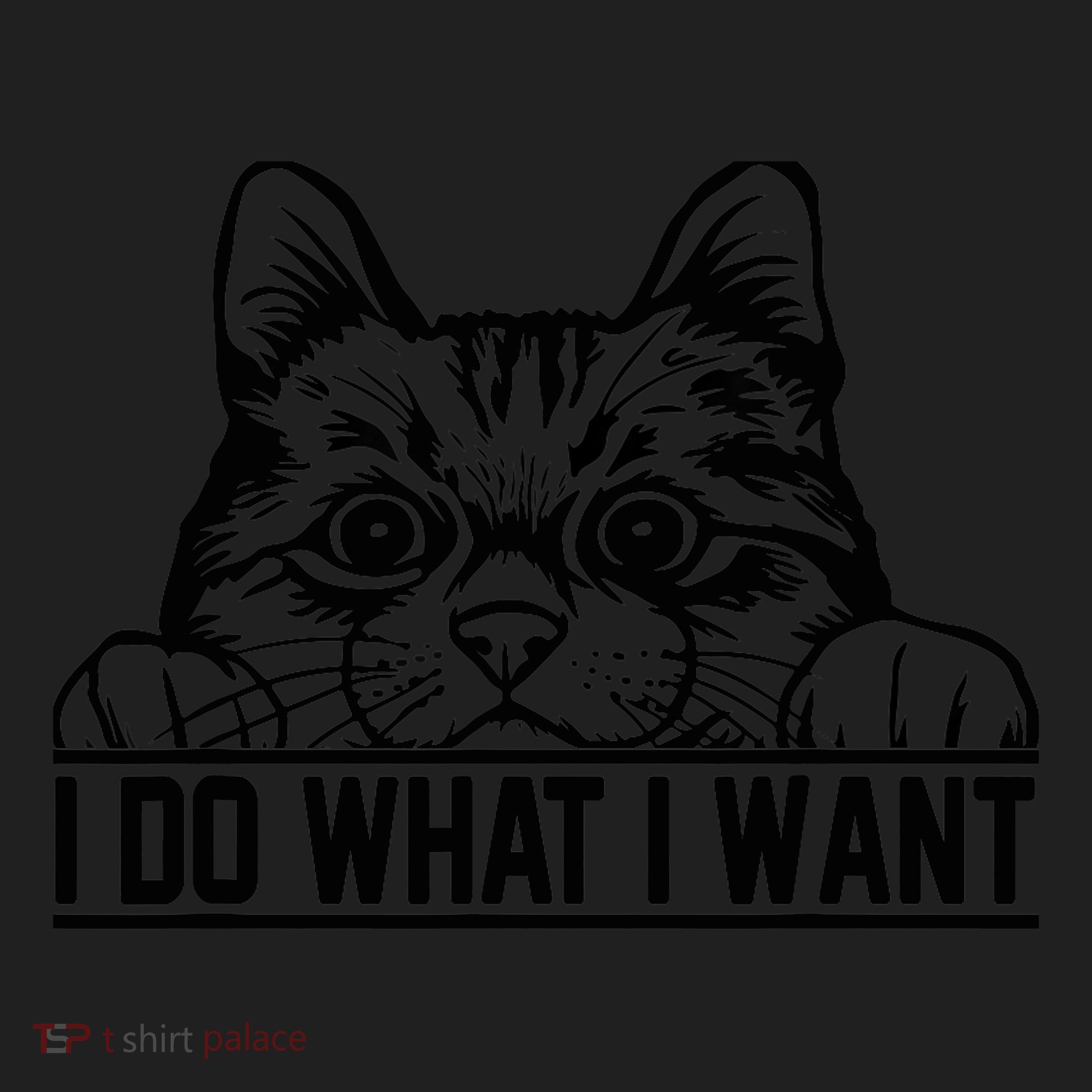Funny Cat Lovers Retro 70s 80s 90s I Do What I Want Cat Women's Sweatshirt