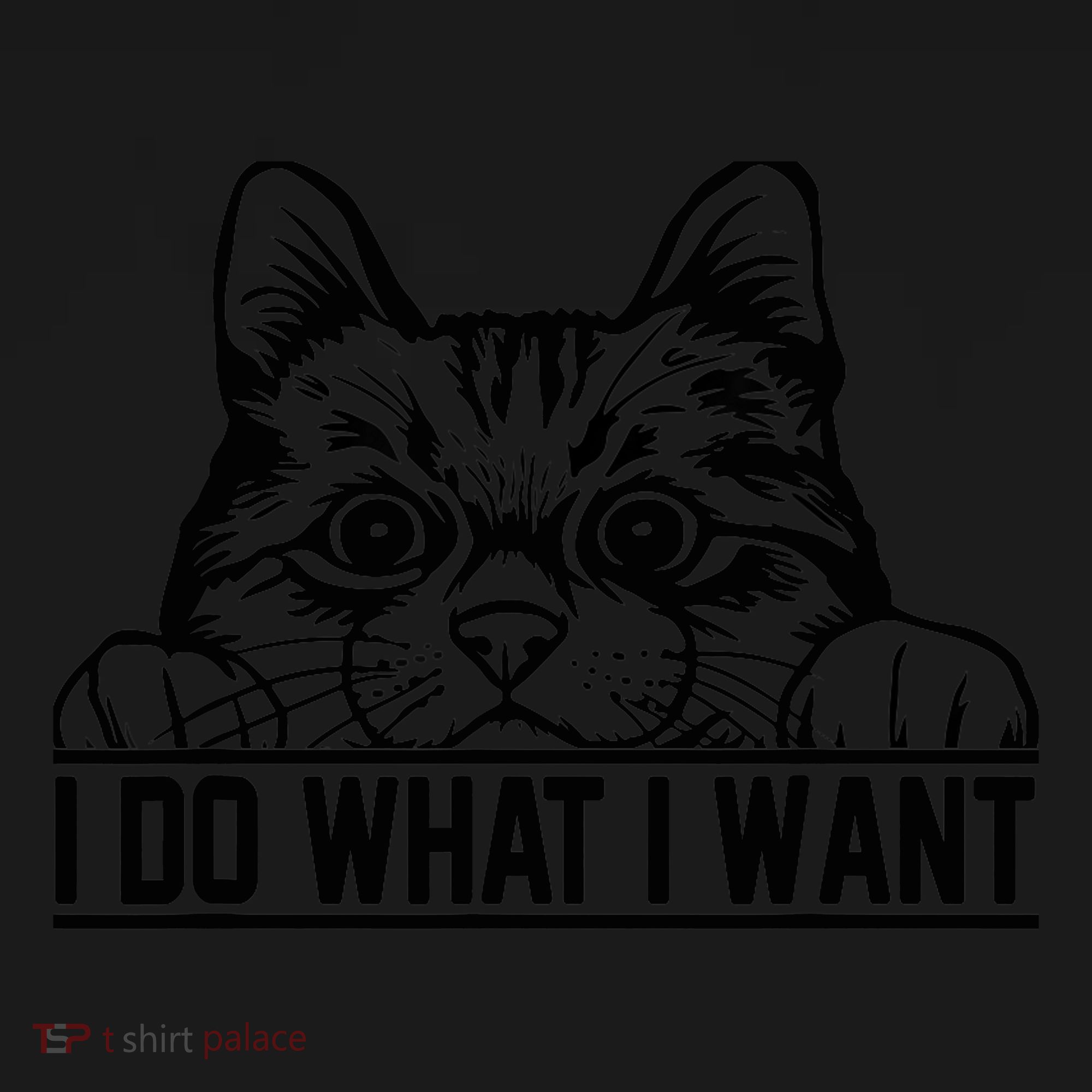Funny Cat Lovers Retro 70s 80s 90s I Do What I Want Cat Backpack
