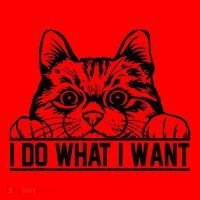 Funny Cat Lovers Retro 70s 80s 90s I Do What I Want Cat Santa Hat thumb 1