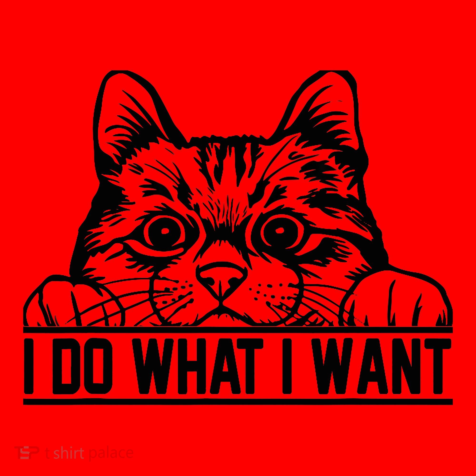 Funny Cat Lovers Retro 70s 80s 90s I Do What I Want Cat Santa Hat