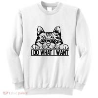Funny Cat Lovers Retro 70s 80s 90s I Do What I Want Cat Sweatshirt thumb 0