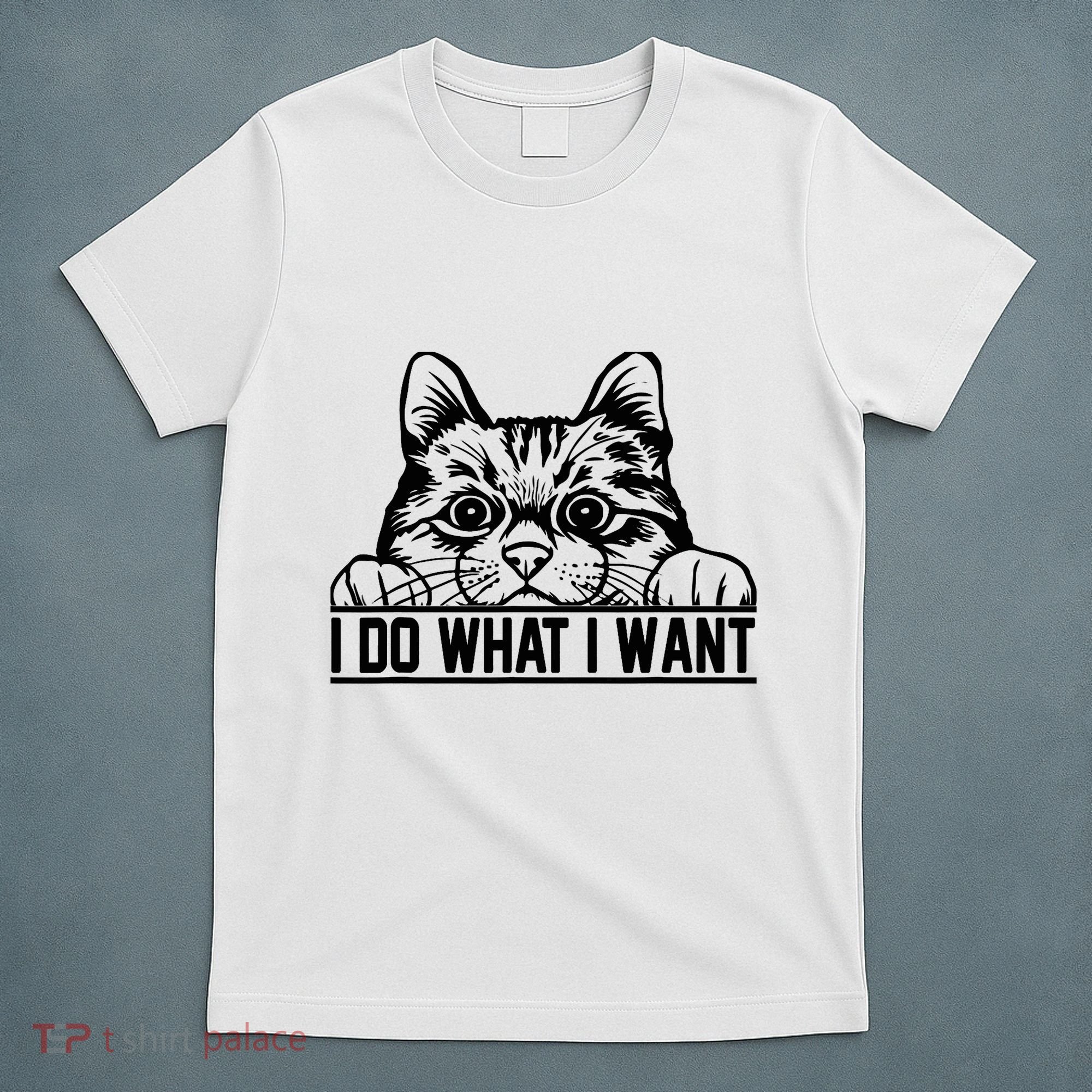 Funny Cat Lovers Retro 70s 80s 90s I Do What I Want Cat T-Shirt
