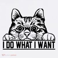 Funny Cat Lovers Retro 70s 80s 90s I Do What I Want Cat Women's Hoodie thumb 2