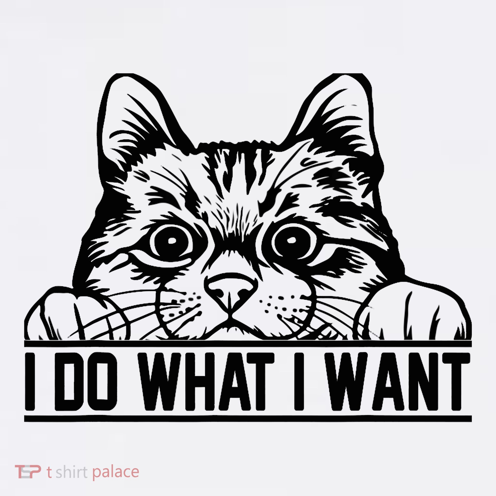 Funny Cat Lovers Retro 70s 80s 90s I Do What I Want Cat Mousepad