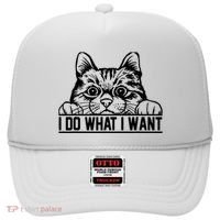 Funny Cat Lovers Retro 70s 80s 90s I Do What I Want Cat Hat thumb 0