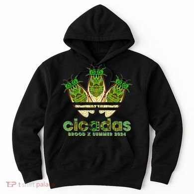 Funny Cicadas Logo Brood X Summer 2024 Hoodie