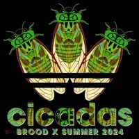 Funny Cicadas Logo Brood X Summer 2024 Women's Hoodie thumb 2