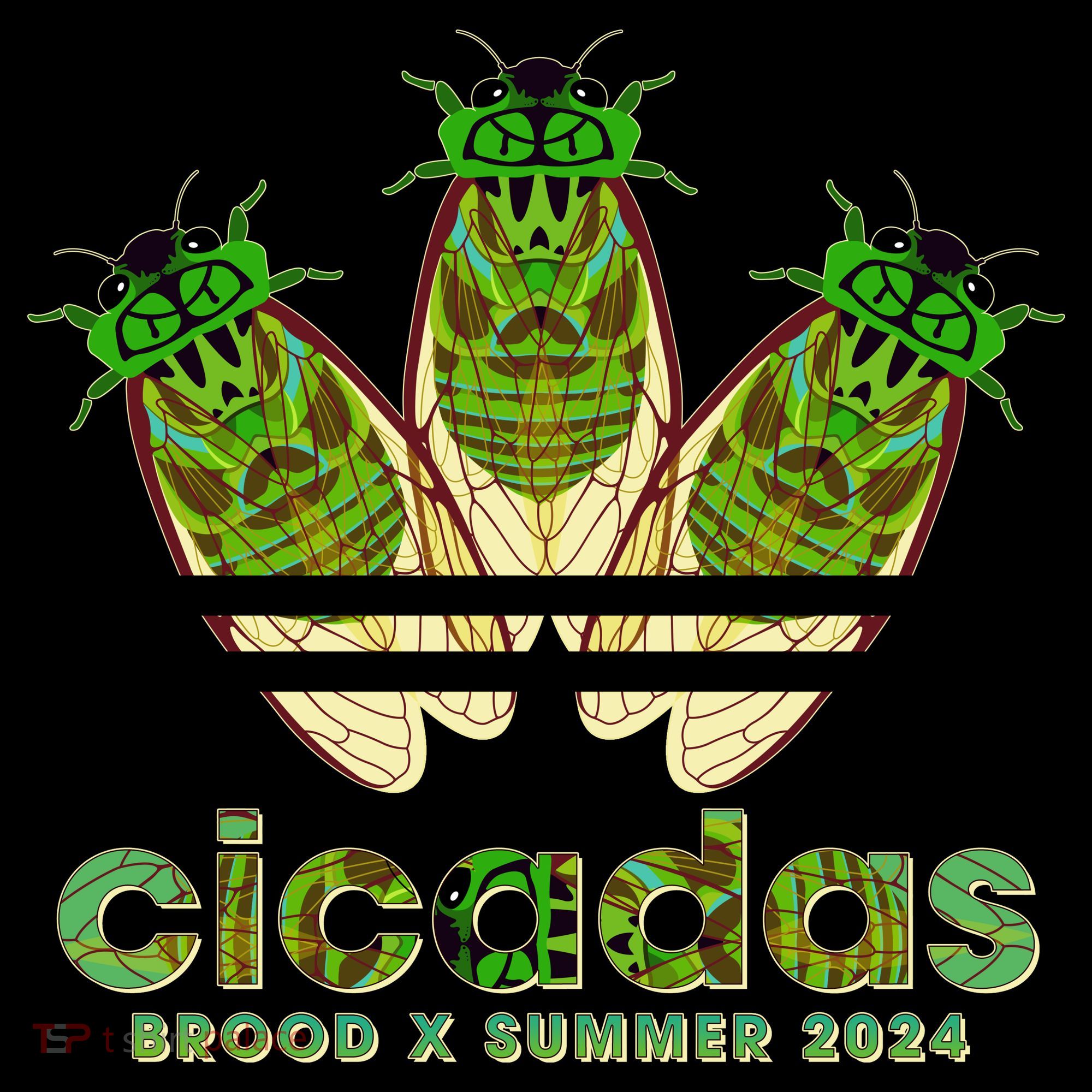 Funny Cicadas Logo Brood X Summer 2024 Women's Hoodie