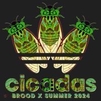 Funny Cicadas Logo Brood X Summer 2024 Hat thumb 2