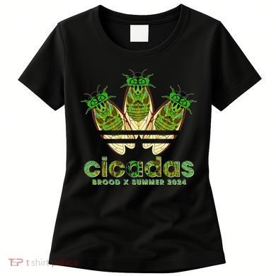 Funny Cicadas Logo Brood X Summer 2024 Women's T-Shirt