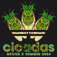 Funny Cicadas Logo Brood X Summer 2024 Kids Sweatshirt thumb 2