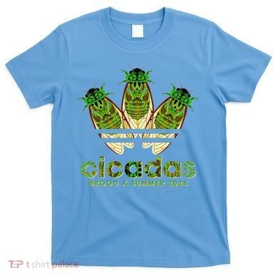 Funny Cicadas Logo Brood X Summer 2024 T-Shirt