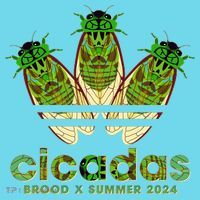 Funny Cicadas Logo Brood X Summer 2024 Kids Long Sleeve Shirt thumb 2