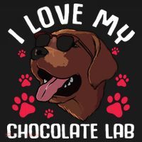 Funny Chocolate Labrador Retriever Gift Men Women Lab Lover Sweatshirt thumb 3
