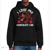Funny Chocolate Labrador Retriever Gift Men Women Lab Lover District V.I.T. Heavyweight Hoodie thumb 0