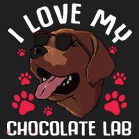 Funny Chocolate Labrador Retriever Gift Men Women Lab Lover Hat thumb 2