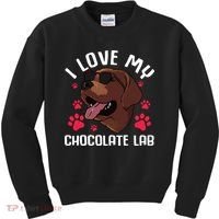 Funny Chocolate Labrador Retriever Gift Men Women Lab Lover Kids Sweatshirt thumb 0
