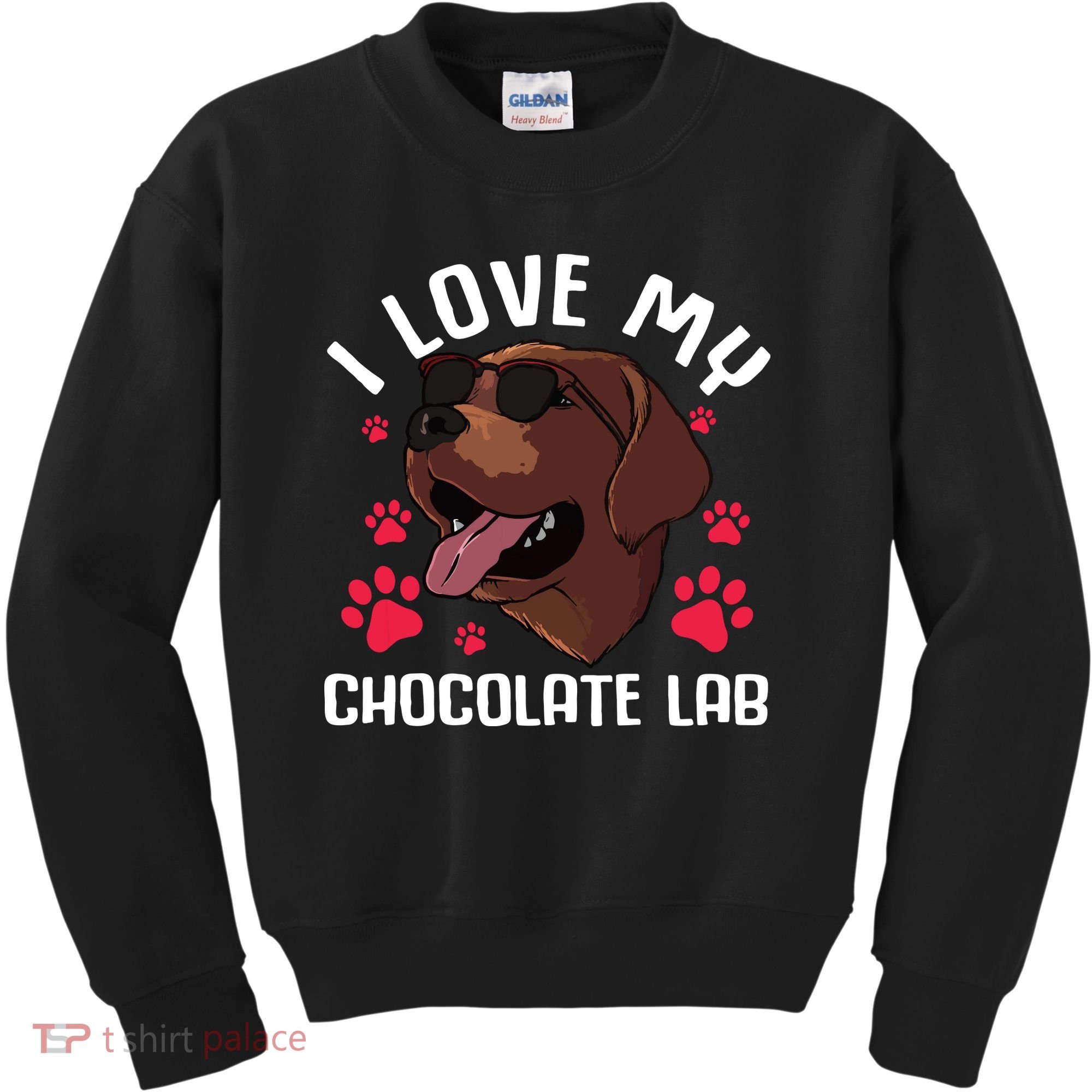 Funny Chocolate Labrador Retriever Gift Men Women Lab Lover Kids Sweatshirt