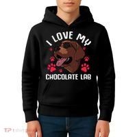 Funny Chocolate Labrador Retriever Gift Men Women Lab Lover Kids Hoodie thumb 4