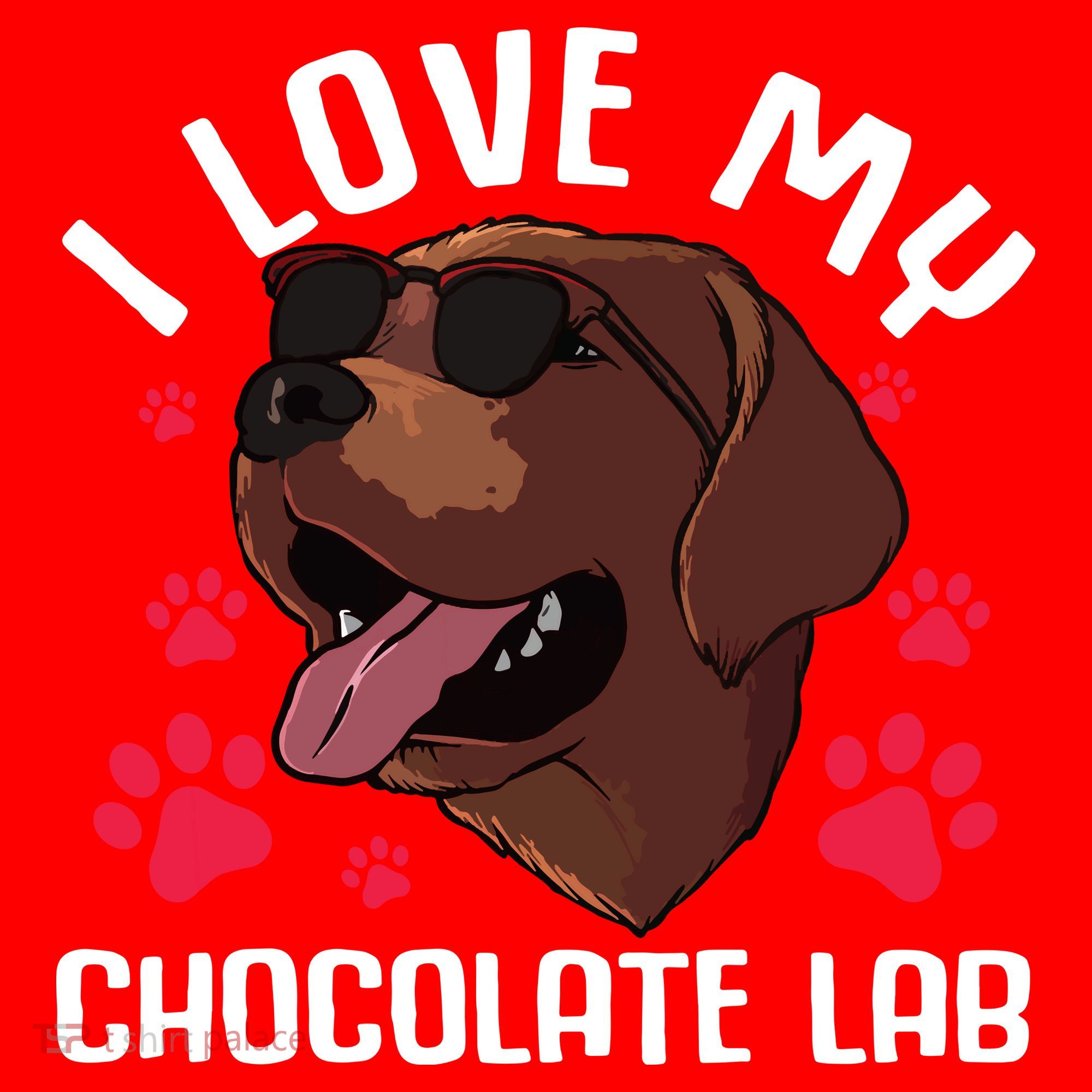 Funny Chocolate Labrador Retriever Gift Men Women Lab Lover Santa Hat