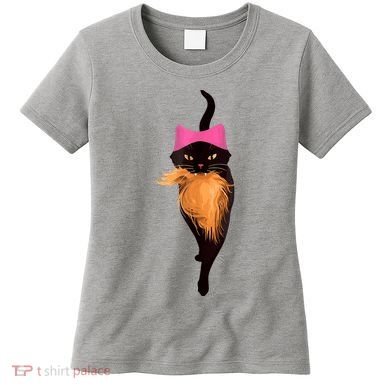 Funny Cat Ladies And Cat Guy Women's T-Shirt