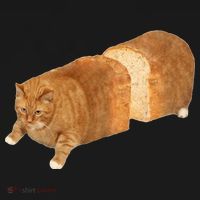 Funny Cat Loaf Cat Bread Cat Lovers Kitty Kitten Women Women's Tank Top thumb 5