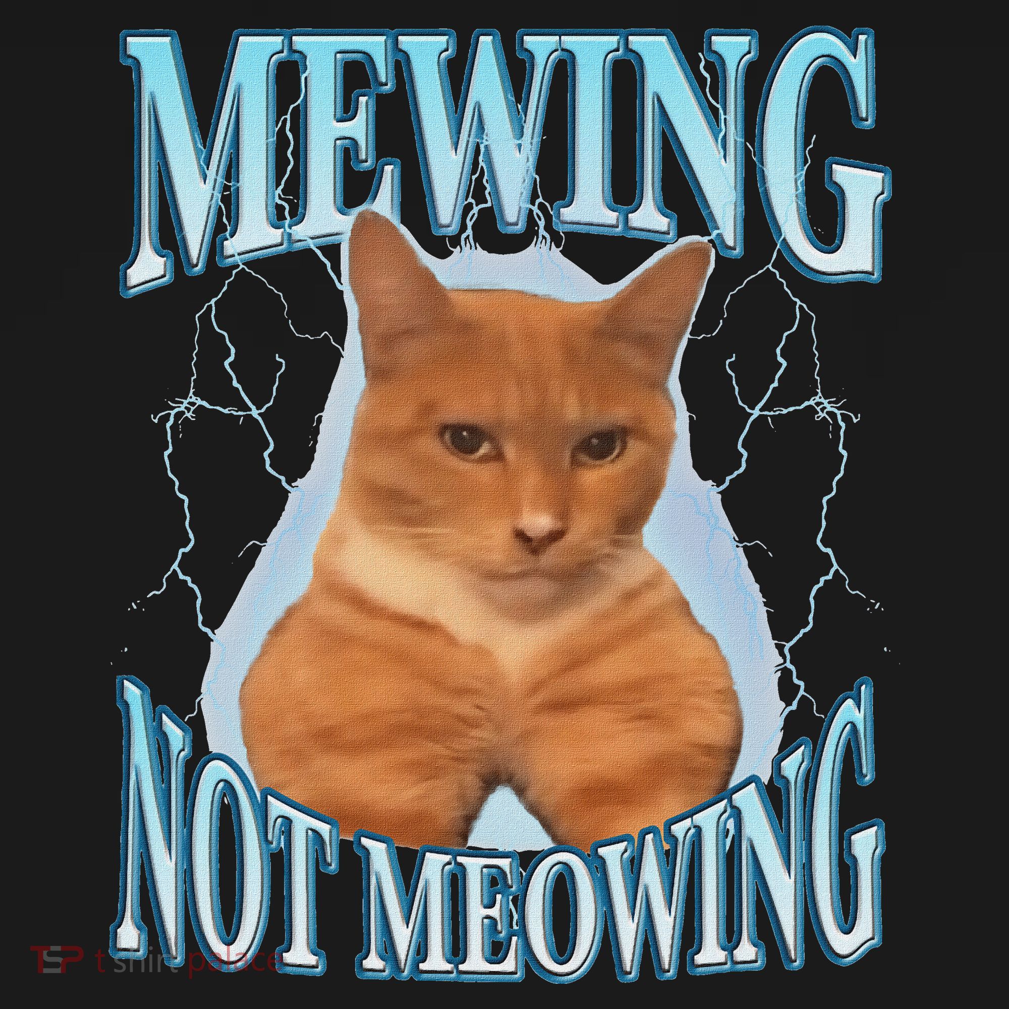 Funny Cat Meme Mewing Looksmax Meowing Cat Trend T-Shirt