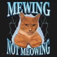 Funny Cat Meme Mewing Looksmax Meowing Cat Trend Women's Hoodie thumb 2