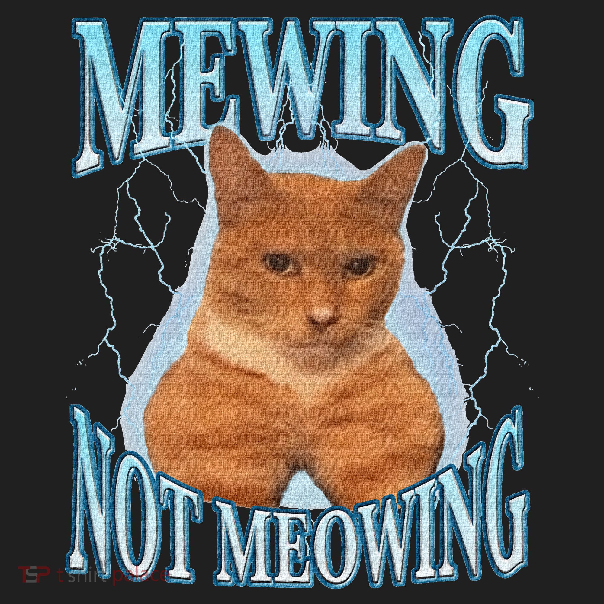 Funny Cat Meme Mewing Looksmax Meowing Cat Trend Hat