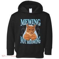 Funny Cat Meme Mewing Looksmax Meowing Cat Trend Toddler Hoodie thumb 0