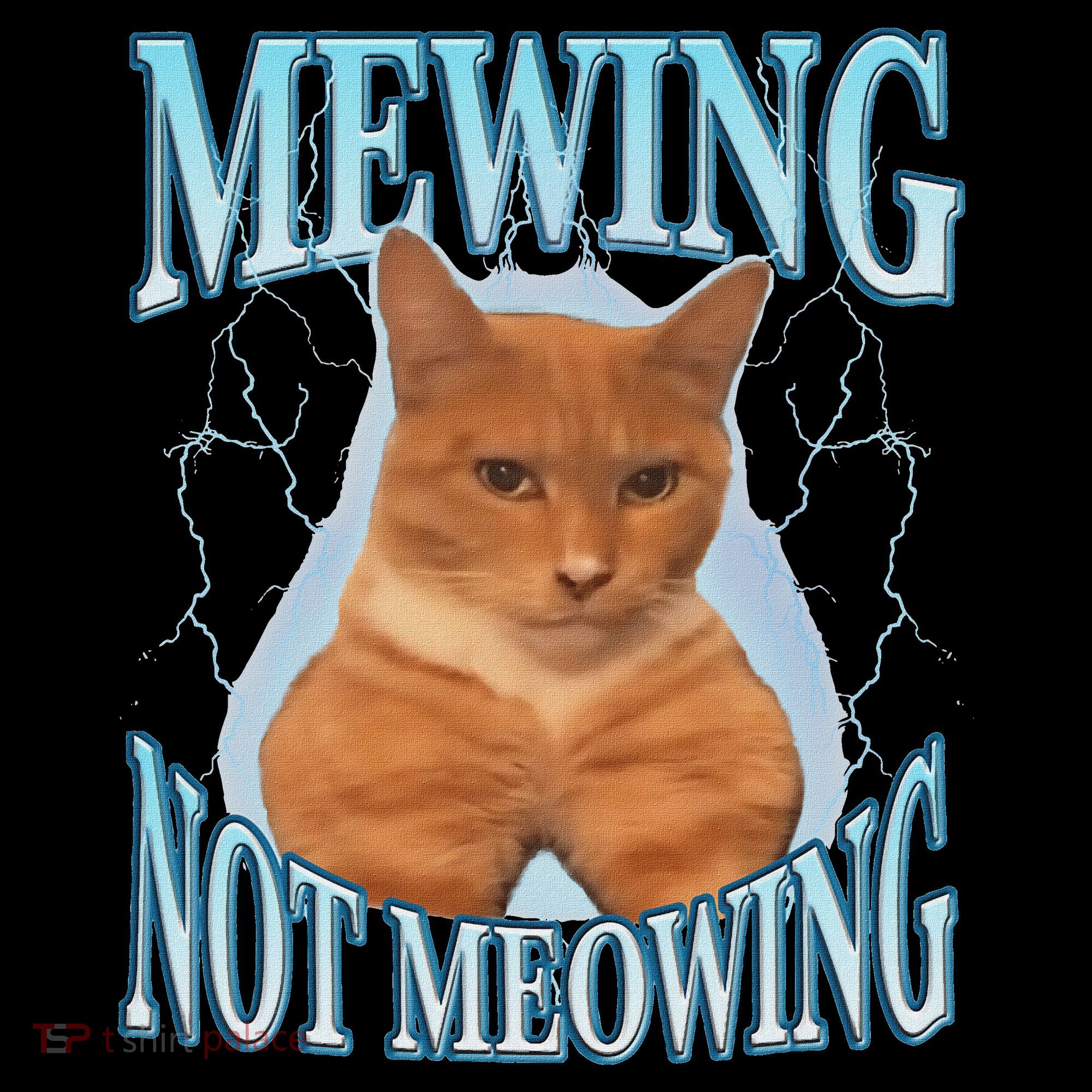 Funny Cat Meme Mewing Looksmax Meowing Cat Trend Tank Top
