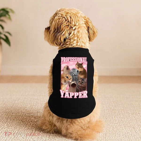 Funny Cat Meme Professional Yapper Cat Oddly Specific Dank Doggie Tank