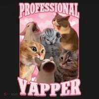 Funny Cat Meme Professional Yapper Cat Oddly Specific Dank Women's Hoodie thumb 2