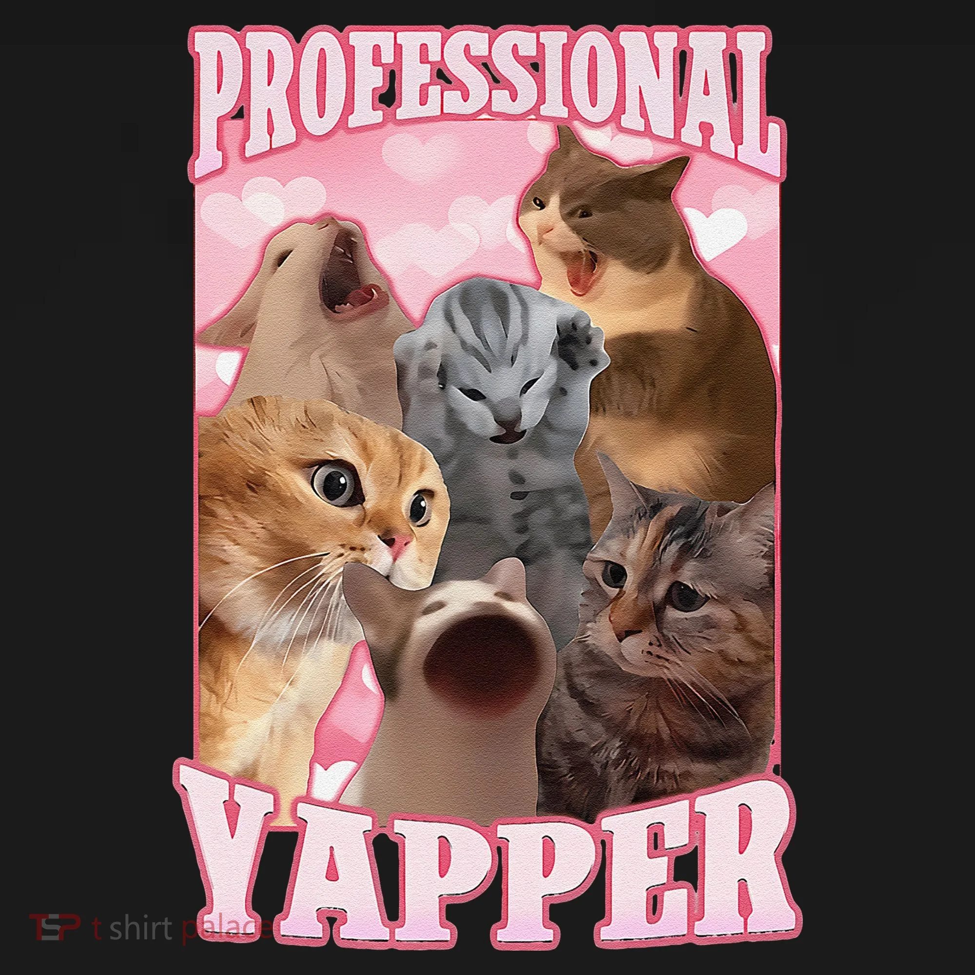 Funny Cat Meme Professional Yapper Cat Oddly Specific Dank Women's Hoodie