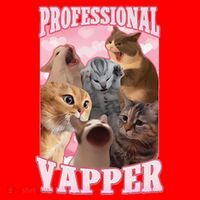 Funny Cat Meme Professional Yapper Cat Oddly Specific Dank Santa Hat thumb 1