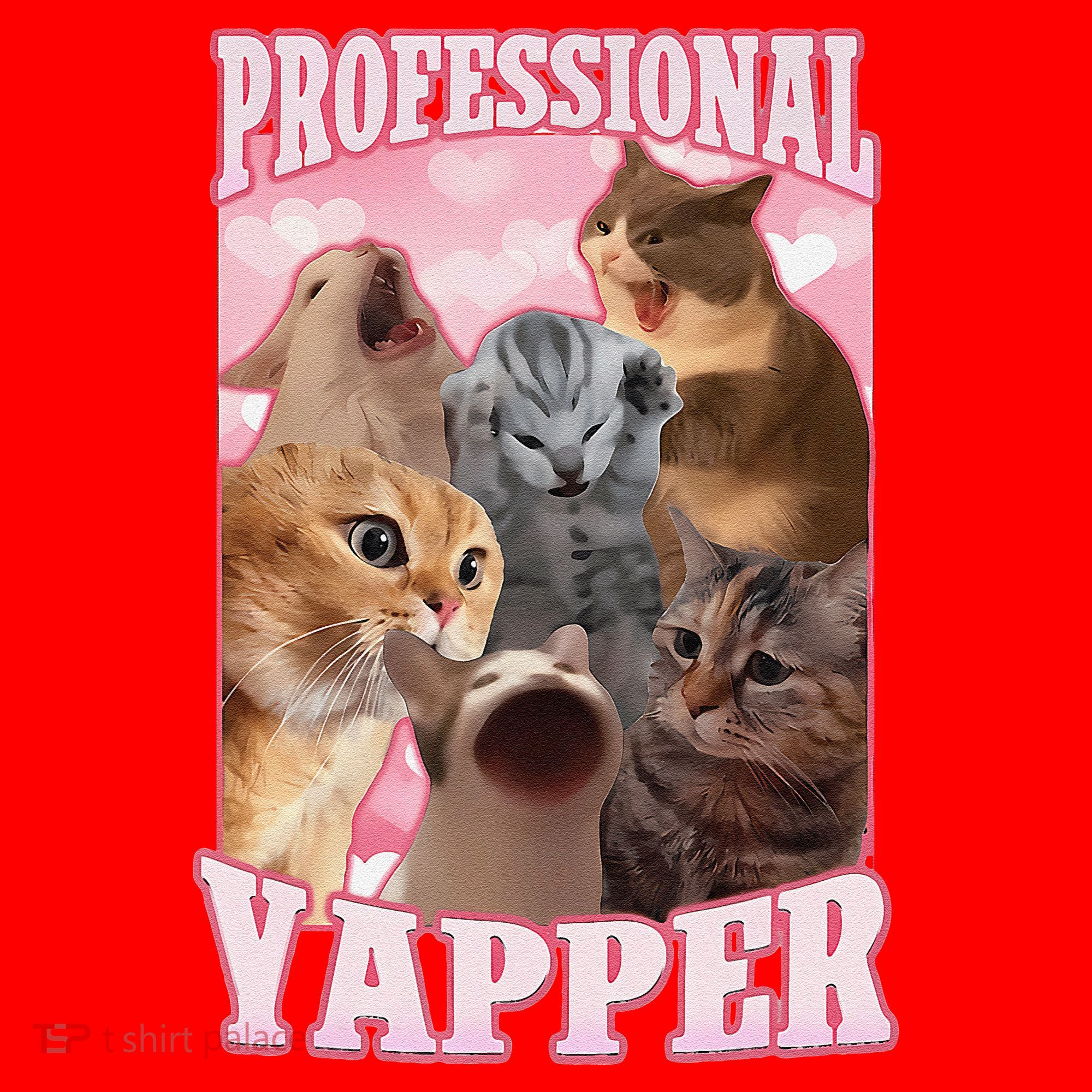 Funny Cat Meme Professional Yapper Cat Oddly Specific Dank Santa Hat