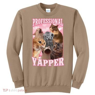 Funny Cat Meme Professional Yapper Cat Oddly Specific Dank Sweatshirt