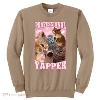 Funny Cat Meme Professional Yapper Cat Oddly Specific Dank Sweatshirt thumb 0