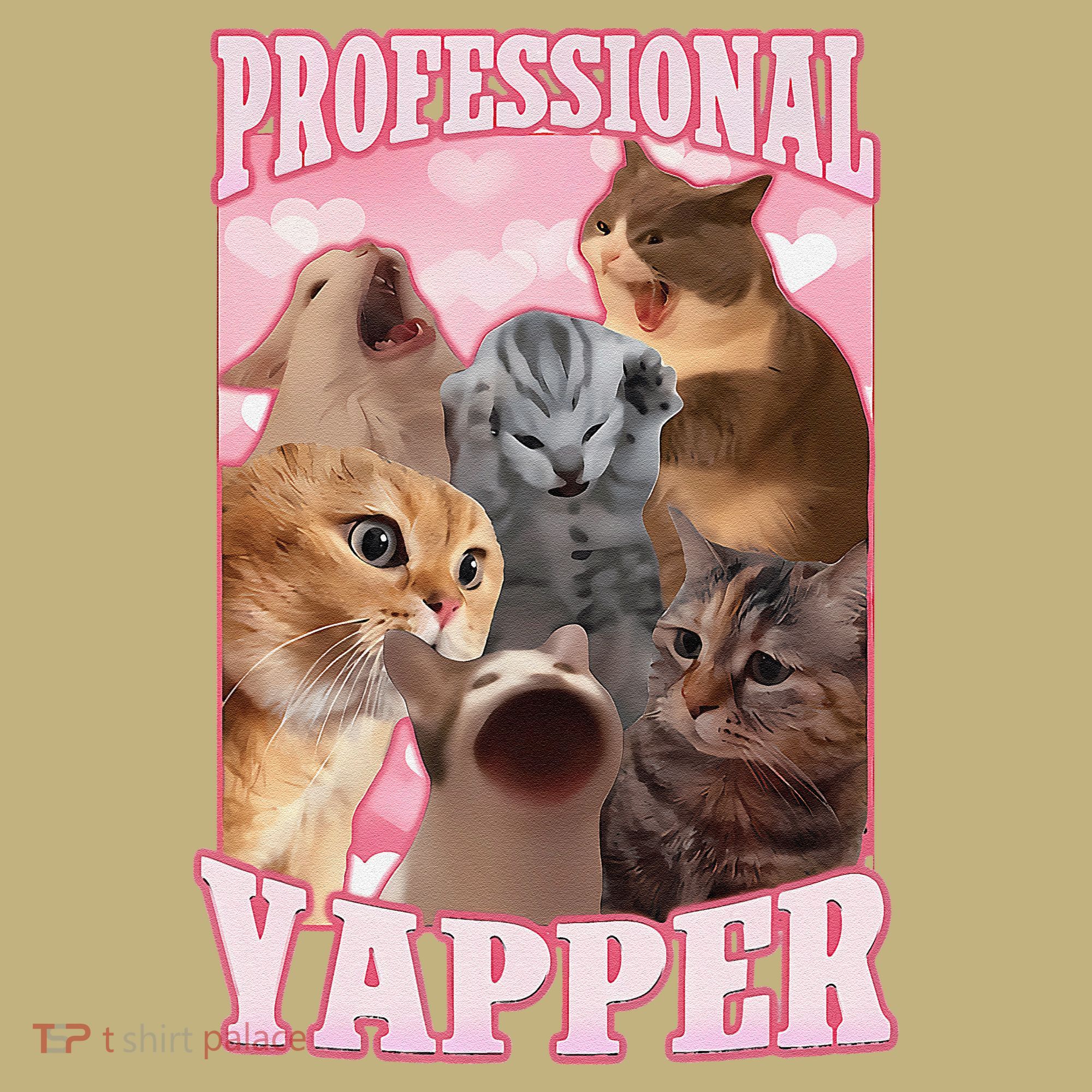 Funny Cat Meme Professional Yapper Cat Oddly Specific Dank Kids T-Shirt