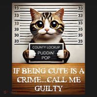 Funny Cat Meme Guilty Of Being Cute Women's Hoodie thumb 2