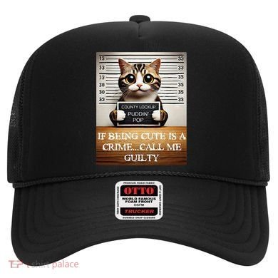 Funny Cat Meme Guilty Of Being Cute Hat