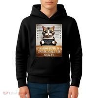 Funny Cat Meme Guilty Of Being Cute Kids Hoodie thumb 4